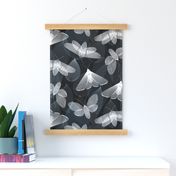 Flittery Linocut Moths