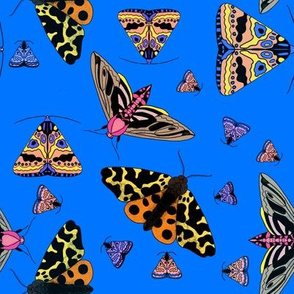 Moths on blue