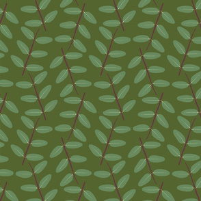 Hypericum Hidcote twig zigzag - dark green (Coordinate for Buttercups on a bush)