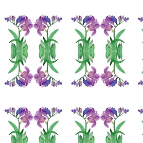 Purple Freesia Flowers