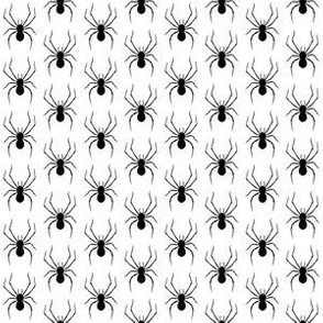 One Inch Black Spiders on White