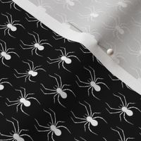 One Inch White Spiders on Black