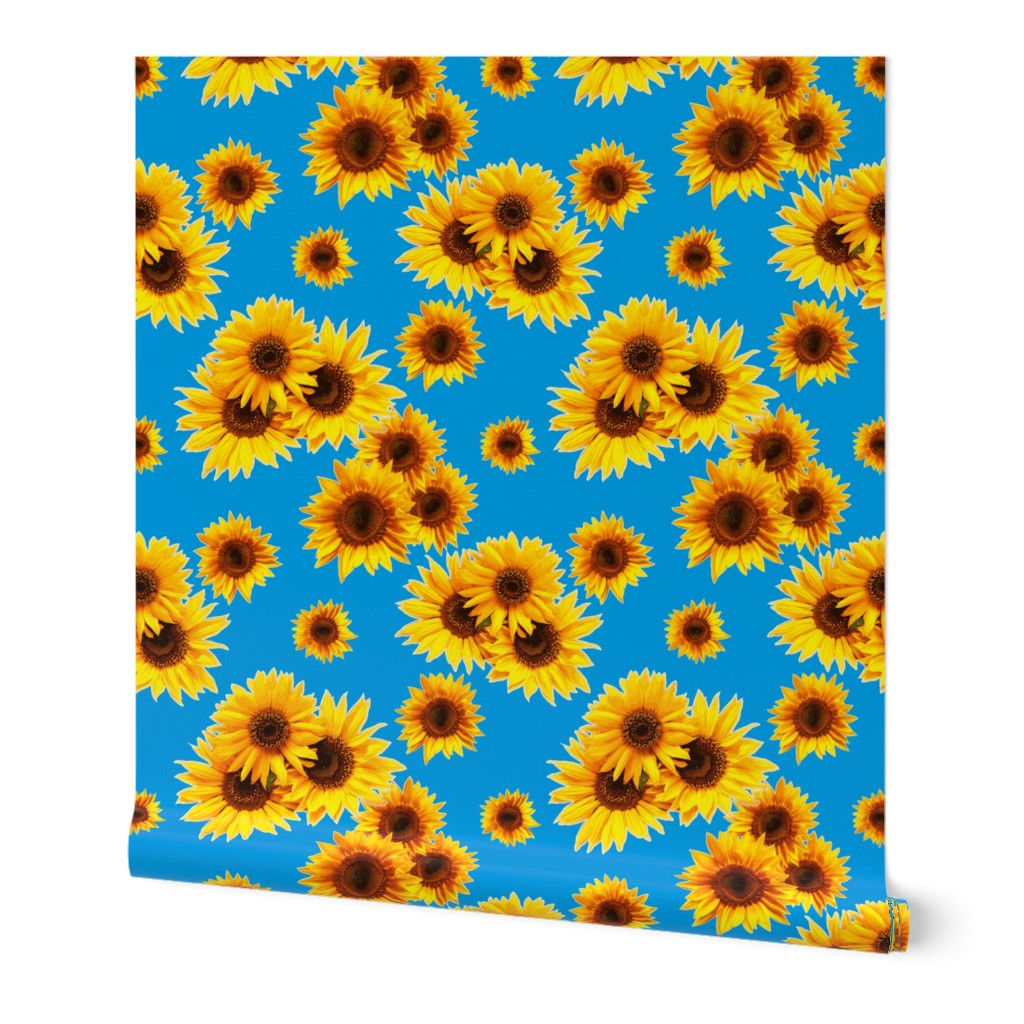 Bright Sunflowers-Blue