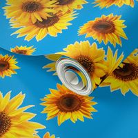 Bright Sunflowers-Blue