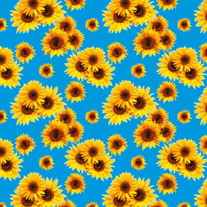 Bright Sunflowers-Blue