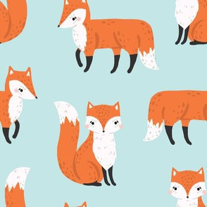 foxes on blue