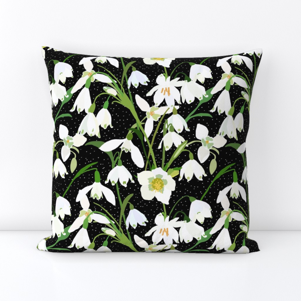 Galanthus Snowdrop Winter Floral