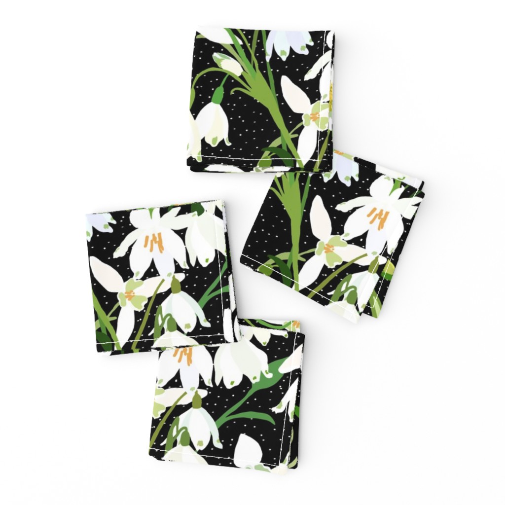 Galanthus Snowdrop Winter Floral