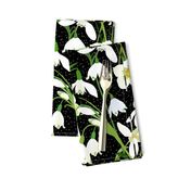 Galanthus Snowdrop Winter Floral