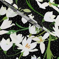 Galanthus Snowdrop Winter Floral