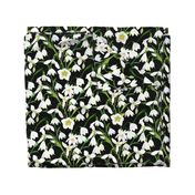 Galanthus Snowdrop Winter Floral