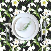 Galanthus Snowdrop Winter Floral