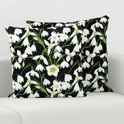 Galanthus Snowdrop Winter Floral