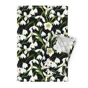 Galanthus Snowdrop Winter Floral