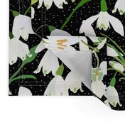 Galanthus Snowdrop Winter Floral