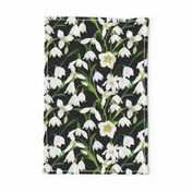 Galanthus Snowdrop Winter Floral