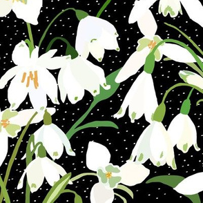 Galanthus Snowdrop Winter Floral