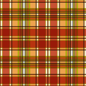 Plaid in Fall Colors paducaru