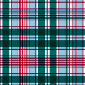 Holiday Plaid_greenblueredgreypink paducaru