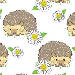 hedgehogs and daisies