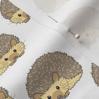 random hedgehogs on white