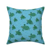 Turquoise Turtles