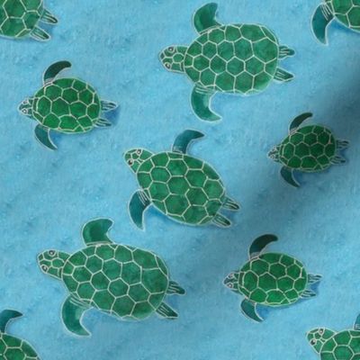 Turquoise Turtles