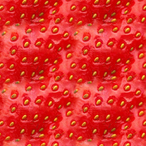 strawberry_tile_Spoonflower
