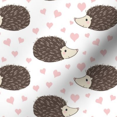 Hedgehogs and Hearts