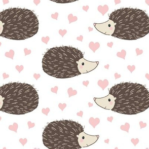 Hedgehogs and Hearts