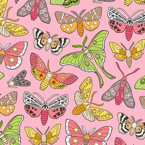 Moths on Pink