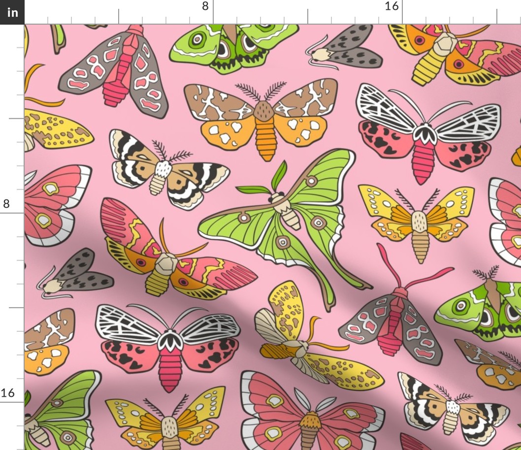 Moths on Pink