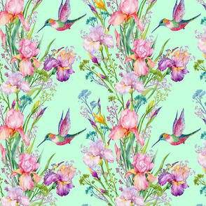 hummingbirds,flowers,watercolors,irises,flower
