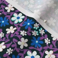 Crazy Daisies Blue White and Purple on Black