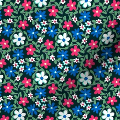 Crazy Daisies Red White and Blue on Black
