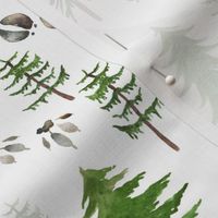 Timberland Tracks – Pine Tree Forest Animal Tracks (green) MEDIUM scale 