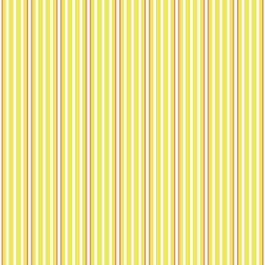 marine stripe - salman,lemon, 