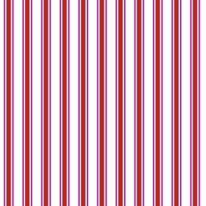 2022 Christmas Stripe - Recolor - added Magenta and Hot Pink 2