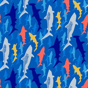 tiger beach sharks - blue (rotated)