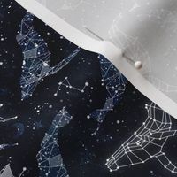 Whale constellations extra small