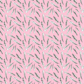 Feathers on pink background