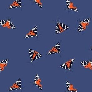 jersey tiger moths on blue