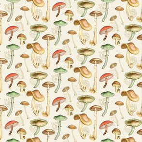 More Mushrooms Natural