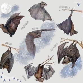 All Bats Fly At Full Moon