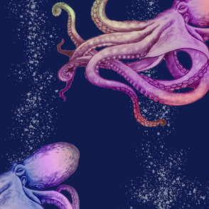 Jumbo rainbow Octopus-navy