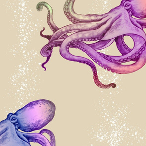 Rainbow Octopus-tan