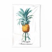 Teatowel With Vintage Pineapple Illustration 