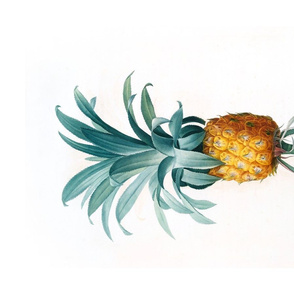 Teatowel With Vintage Pineapple Illustration 