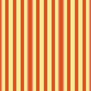 Pajama Stripe- circus stripe