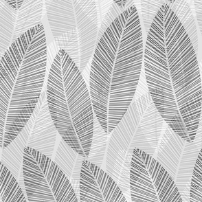 leaf-row-greyscale